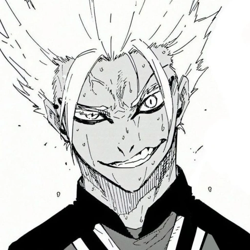 Ryusei Shidou