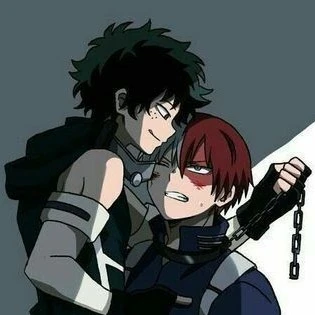 Todoroki Shoto tddk/dktd