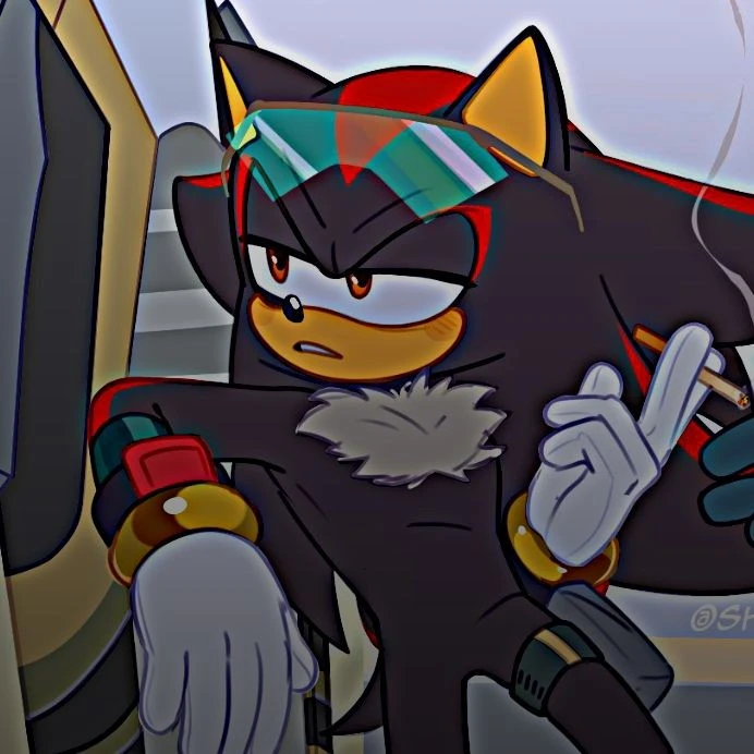 Shadow the Hedgehog