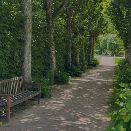 🌳 ~ '°!Park!°'
