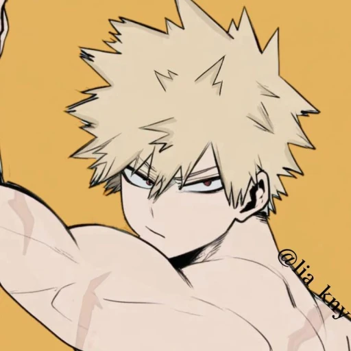 Bakugo hero boyfriend