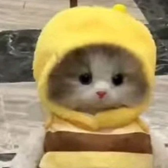 Han Jisung