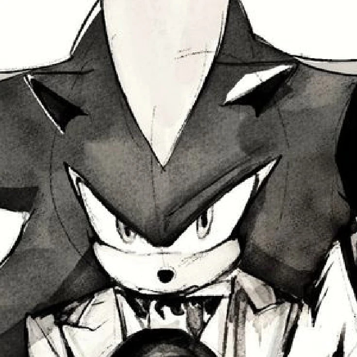 ‼️Shadow bandit‼️