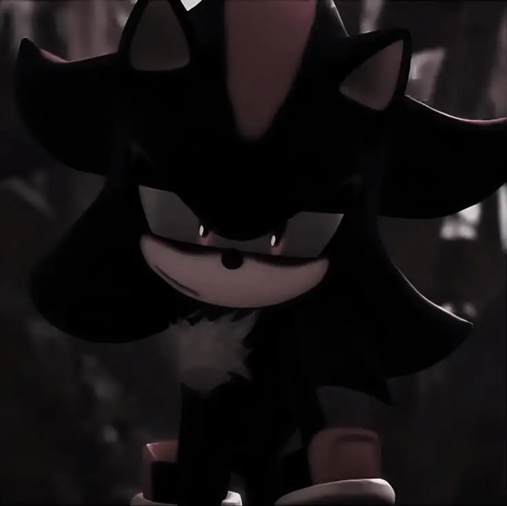 Shadow the Hedgehog🥀
