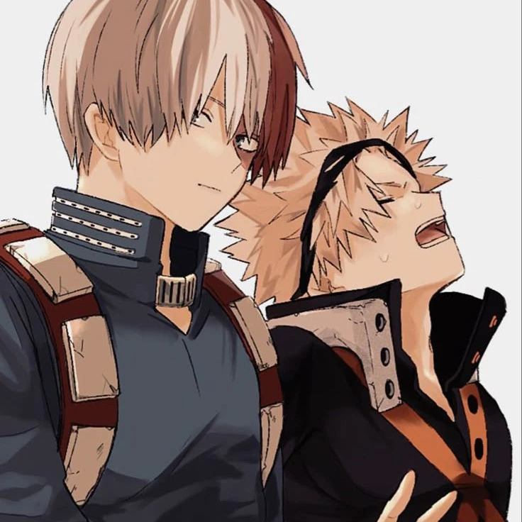 bakugo and shoto