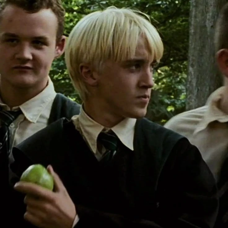 🍏Draco Malfoy💚