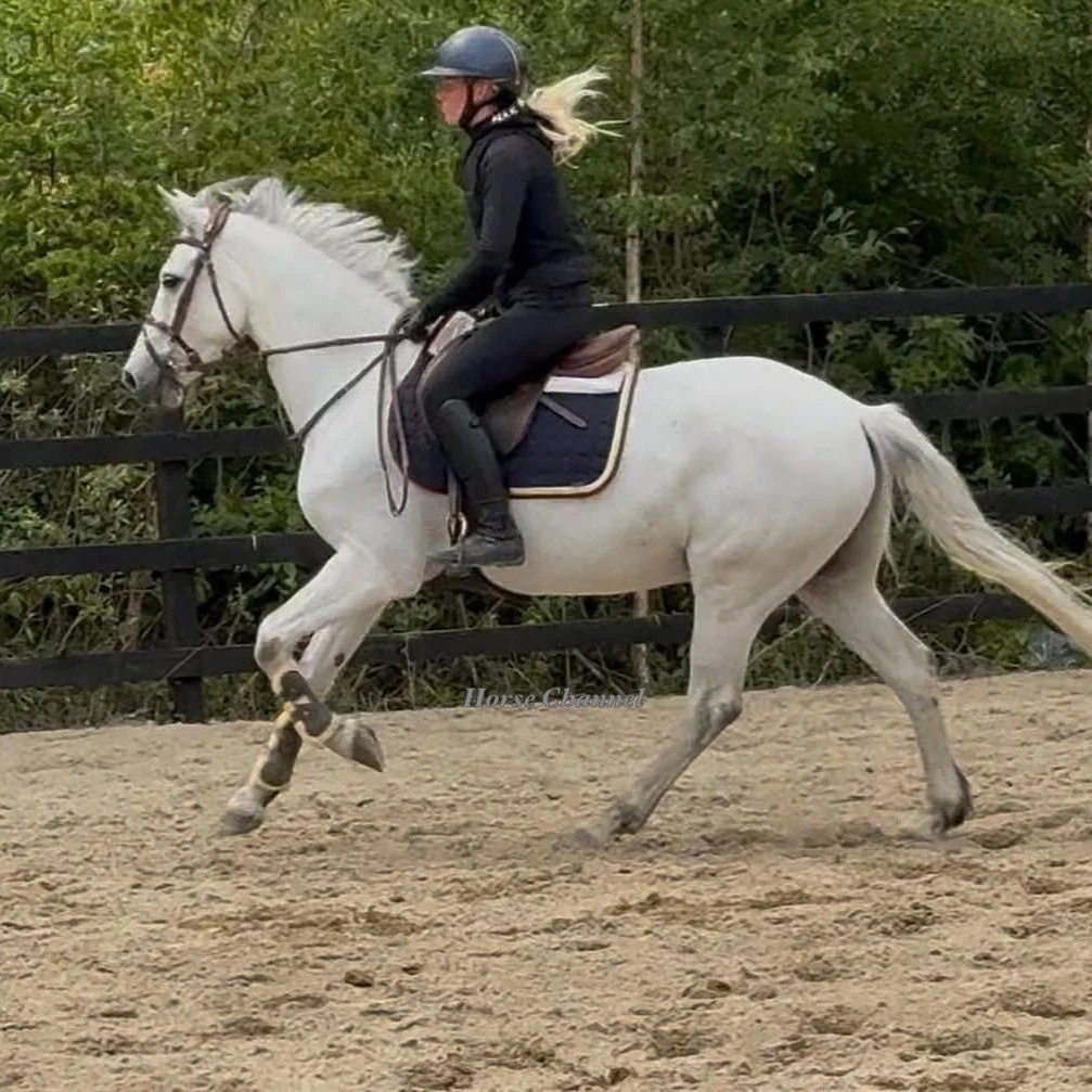 mares