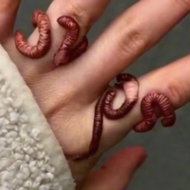 worm