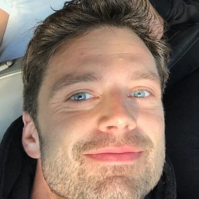 Barnes Bucky