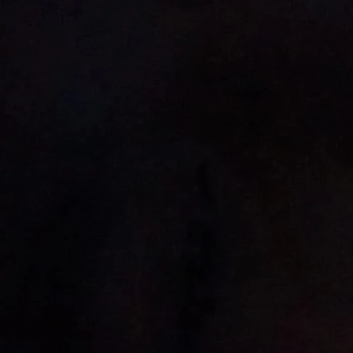 ghost Riley Simon