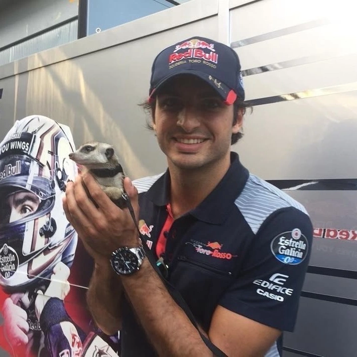💥— Carlos Sainz