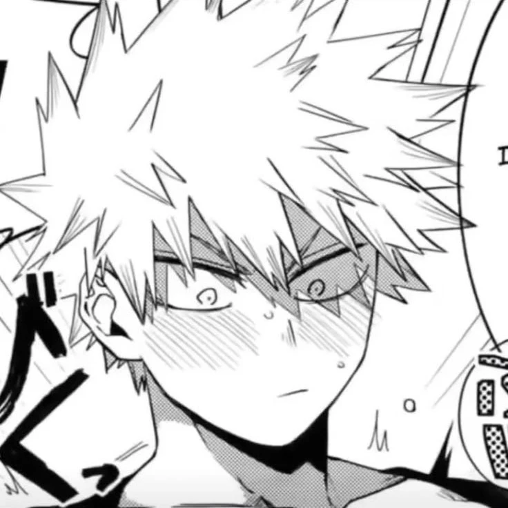 Katsuki Bakugou ★[ ¹ ]