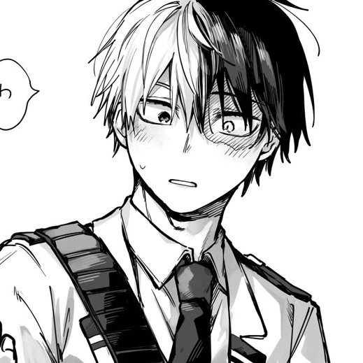 Shoto Todoroki