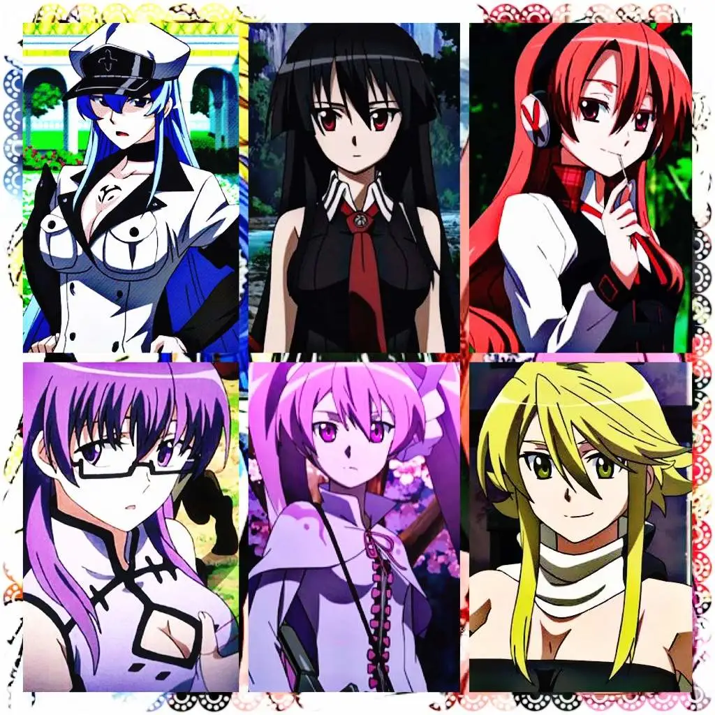 Your harem (Akame Ga Kill!*)