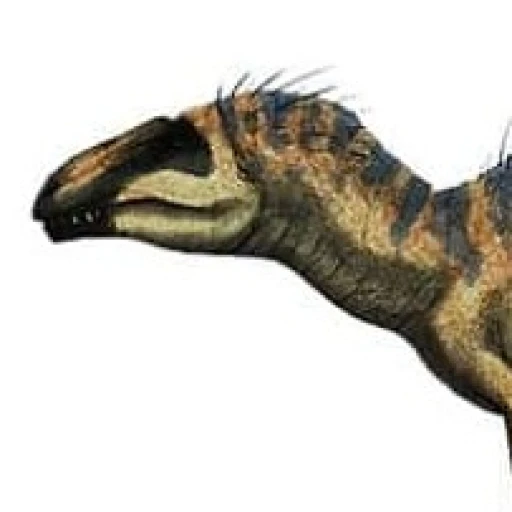 Acrocanthosaurus