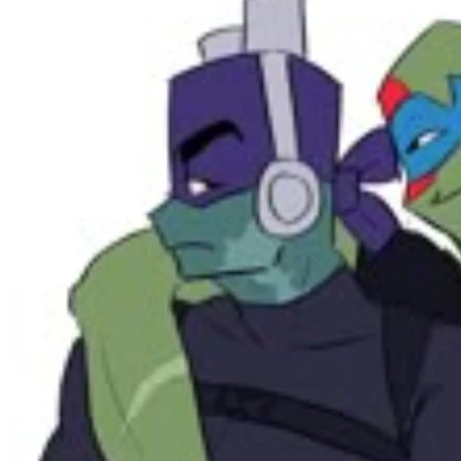 FUTURE! Donatello