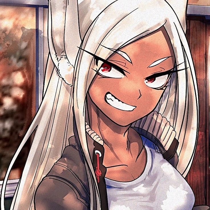 Mirko NTR