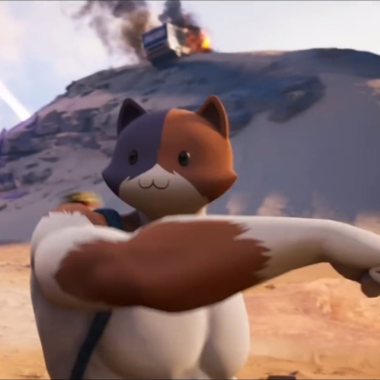 Meowscles