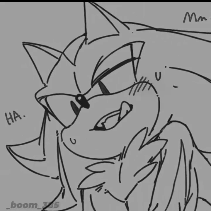 Shadow the hedgehog...