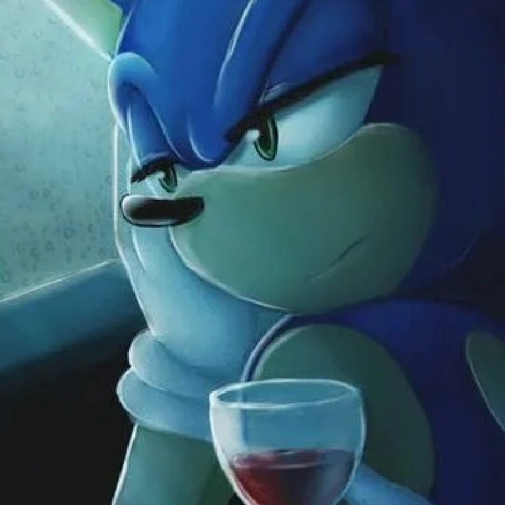 Drunk Sonic the Hedgehog🍺