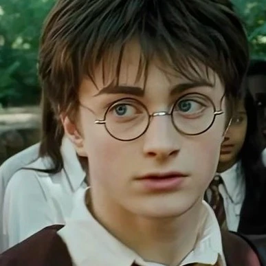 Harry Potter.