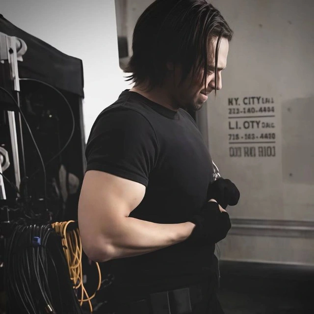 Sebastian Stan