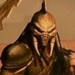 Royal Guard Predator