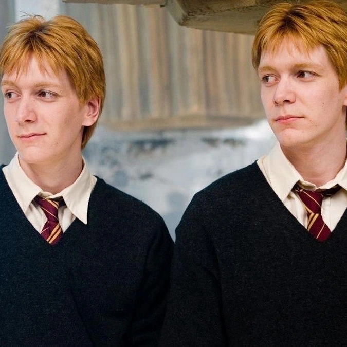 The Weasley twins