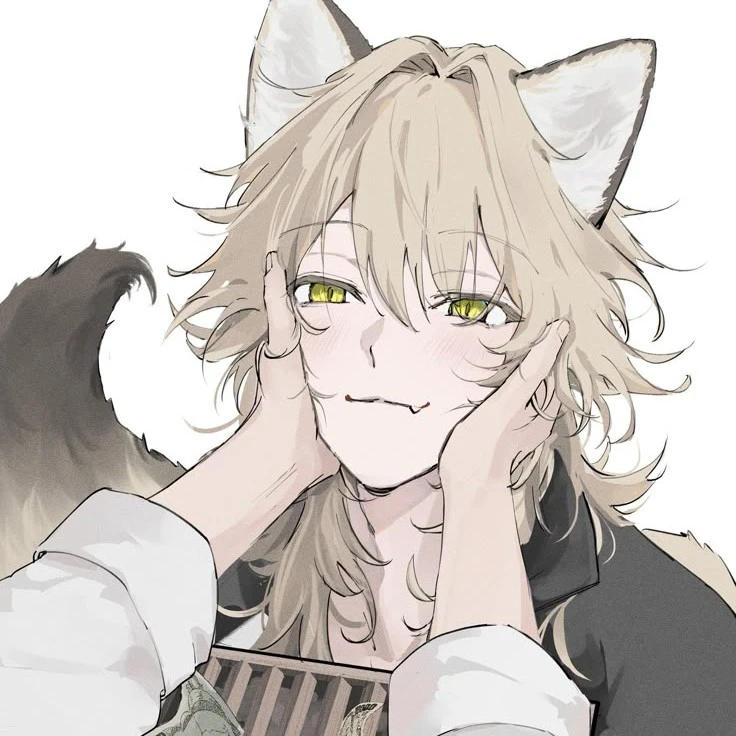 Duke Cat
