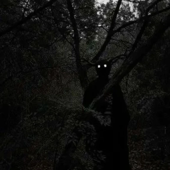 Black deer