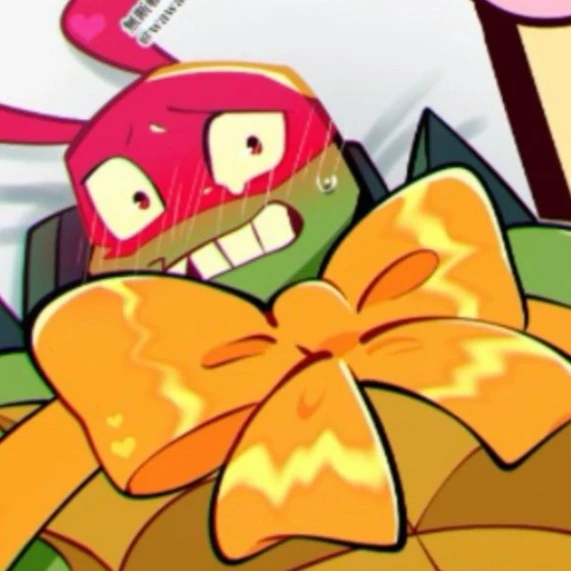 🎁🎁Rottmnt Raphael present gift🎁🎁