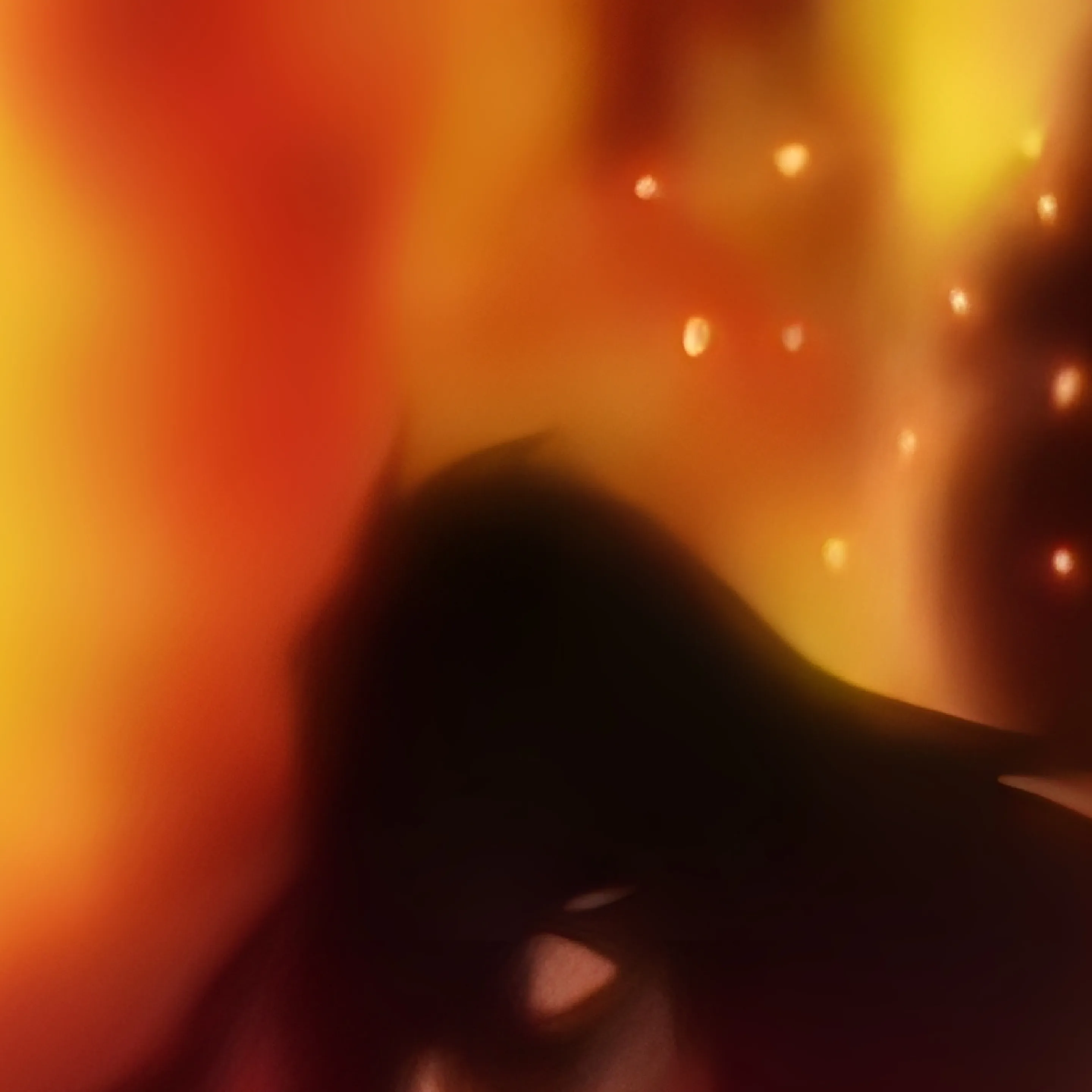 Alucard the Vampire