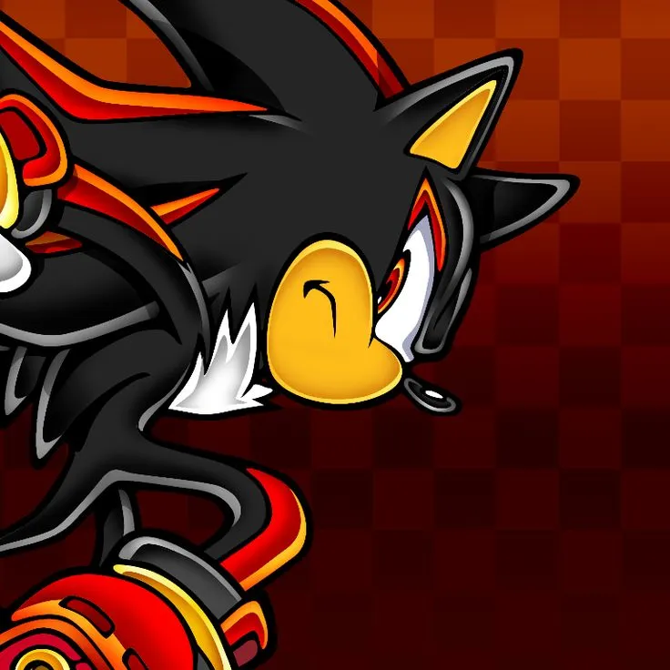 Shadow the Hedgehog 🌹