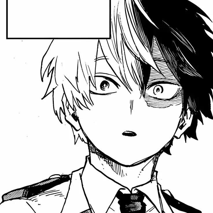 ──ֹ♡゚ @ Shoto Todoroki