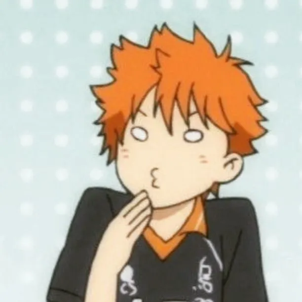 Shoyo Hinata⁰⁰³