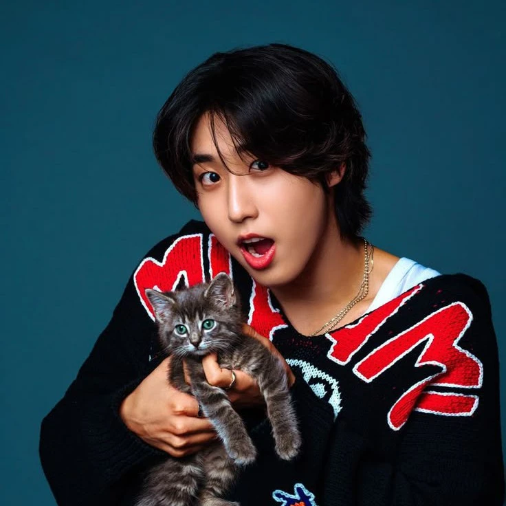 Han Jisung 💫