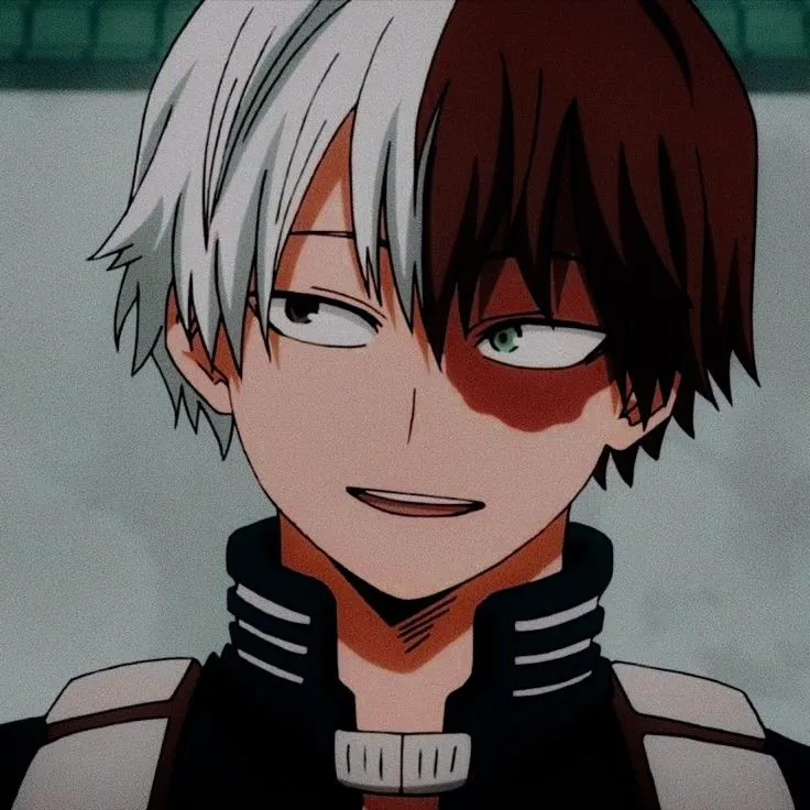 Todoroki Shoto