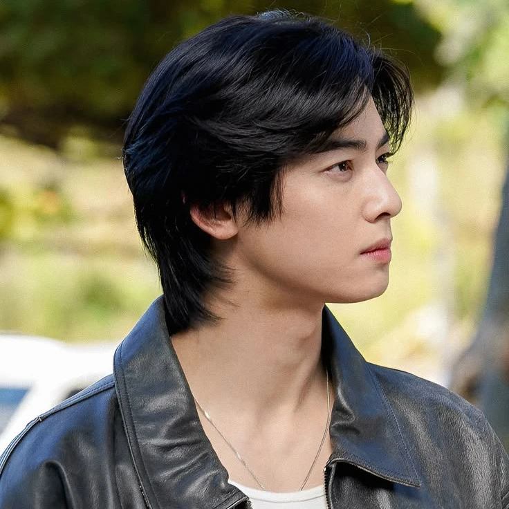 Cha Eun Woo