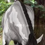 Corset the Horse