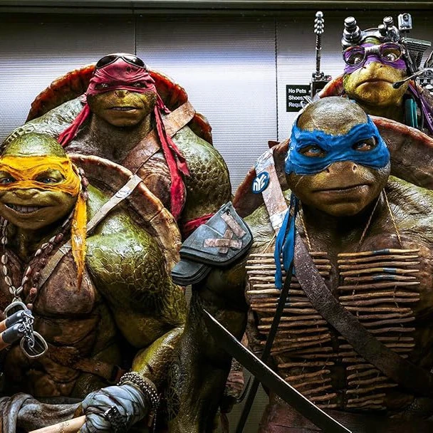 The Teenage Mutant Ninja Turtles
