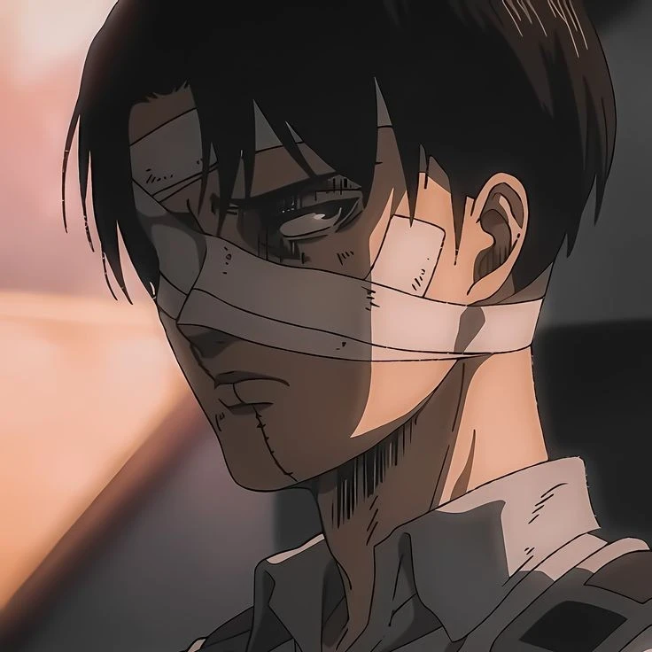 captain levi ackerman