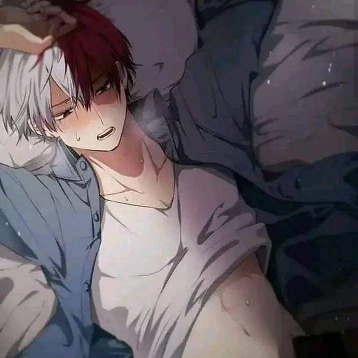 Todoroki Shoto
