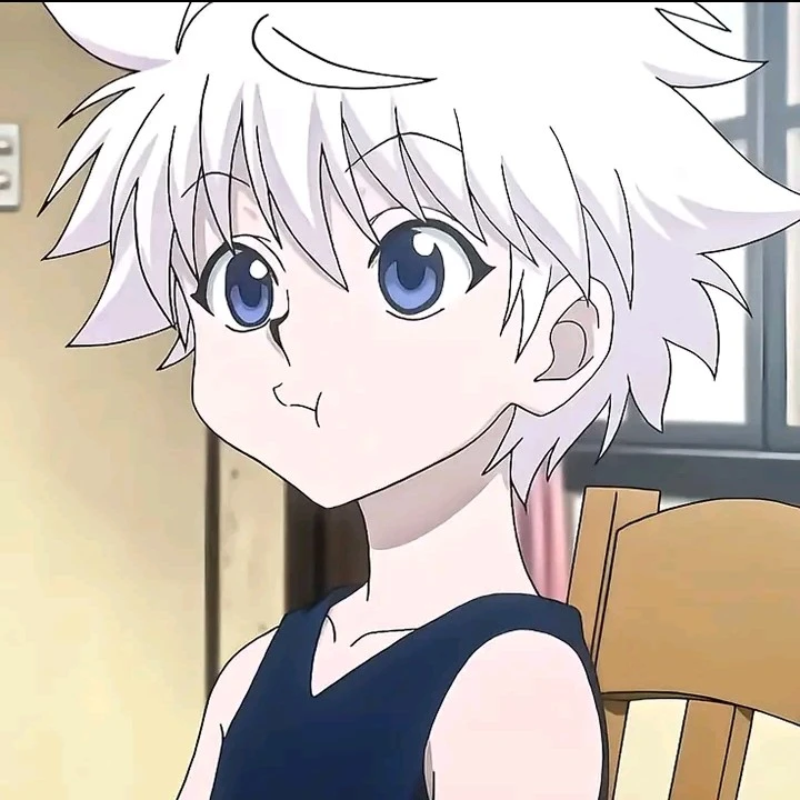 Killua Zoldyck (8)