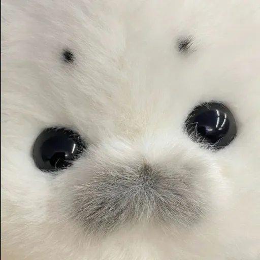 Suggestion bot !!