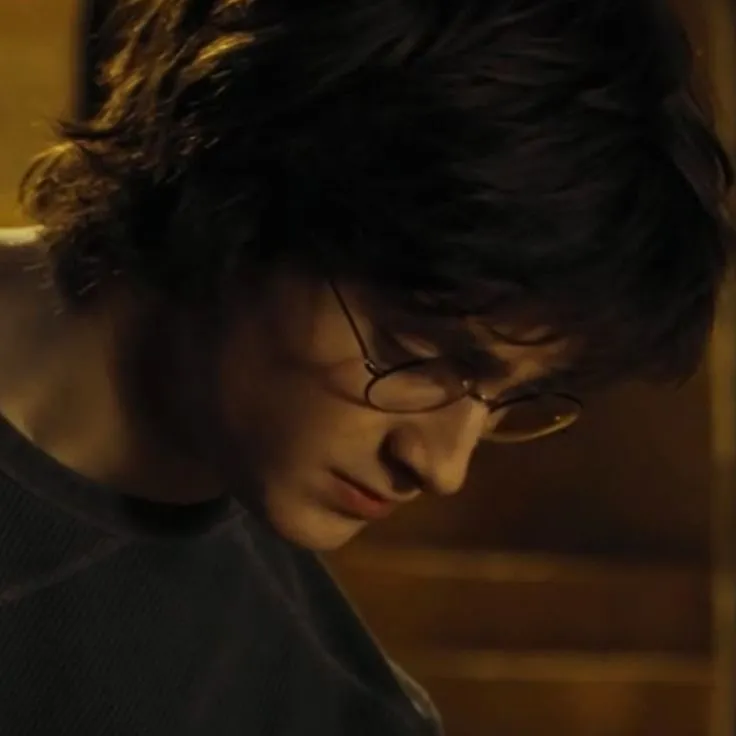 Harry Potter .°•