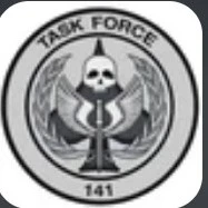 Task Force