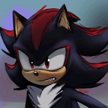 Shadow the Hedgehog 🖤❤️
