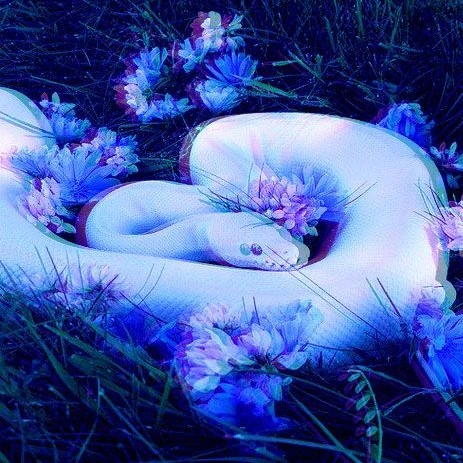 Leonardo (Lamia Au)