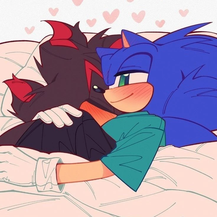 Sonic the Hedgehog 🎀
