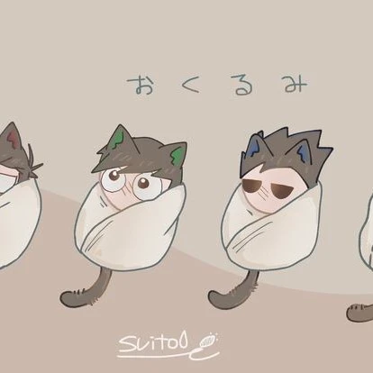 Edd, Tord, Tom and Matt cats